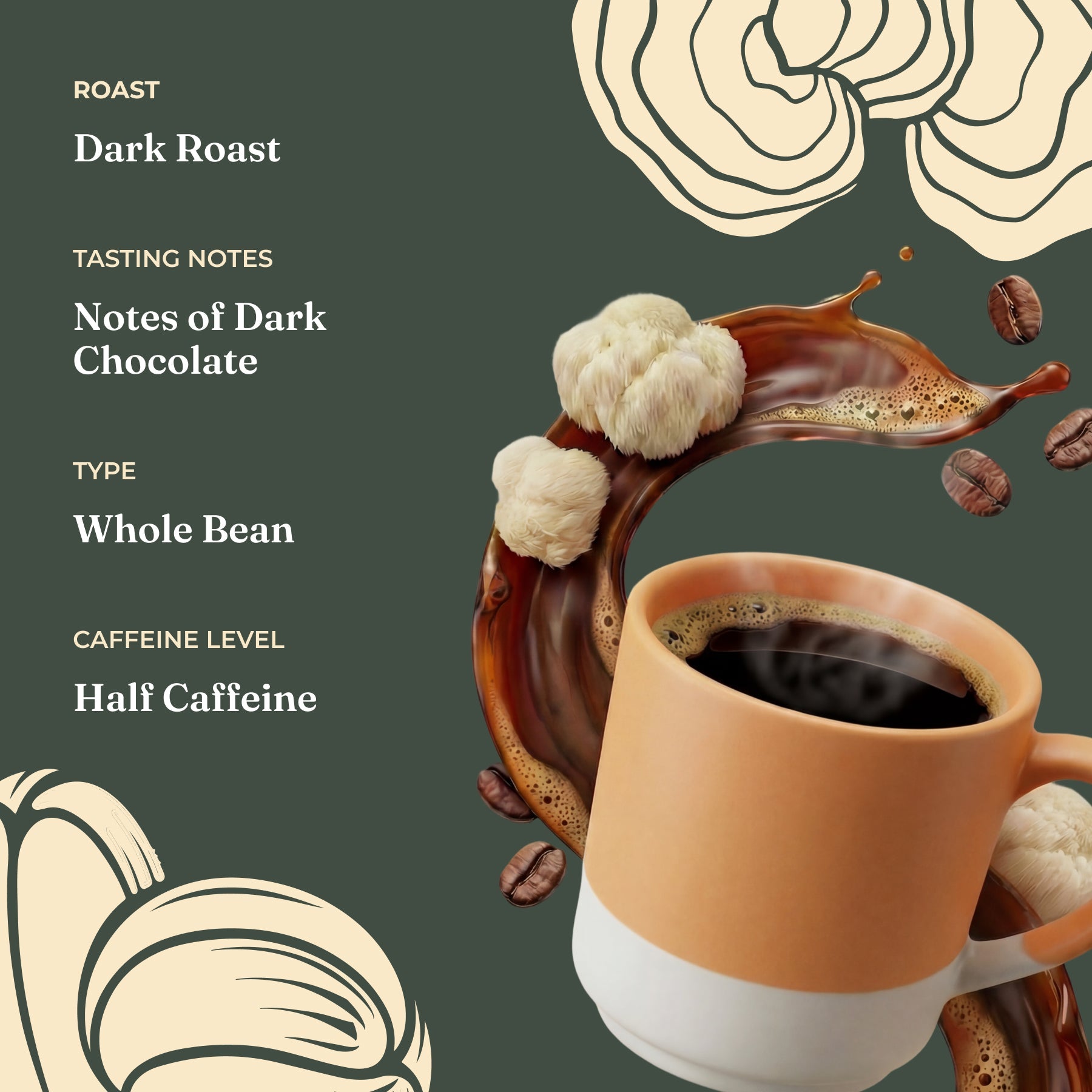 focus-half-caf-whole-bean-coffee-t3 Taste_-_Focus_Half_Caf_Whole_Bean_d1d02c35-db99-498e-ac43-813730db6953.jpg