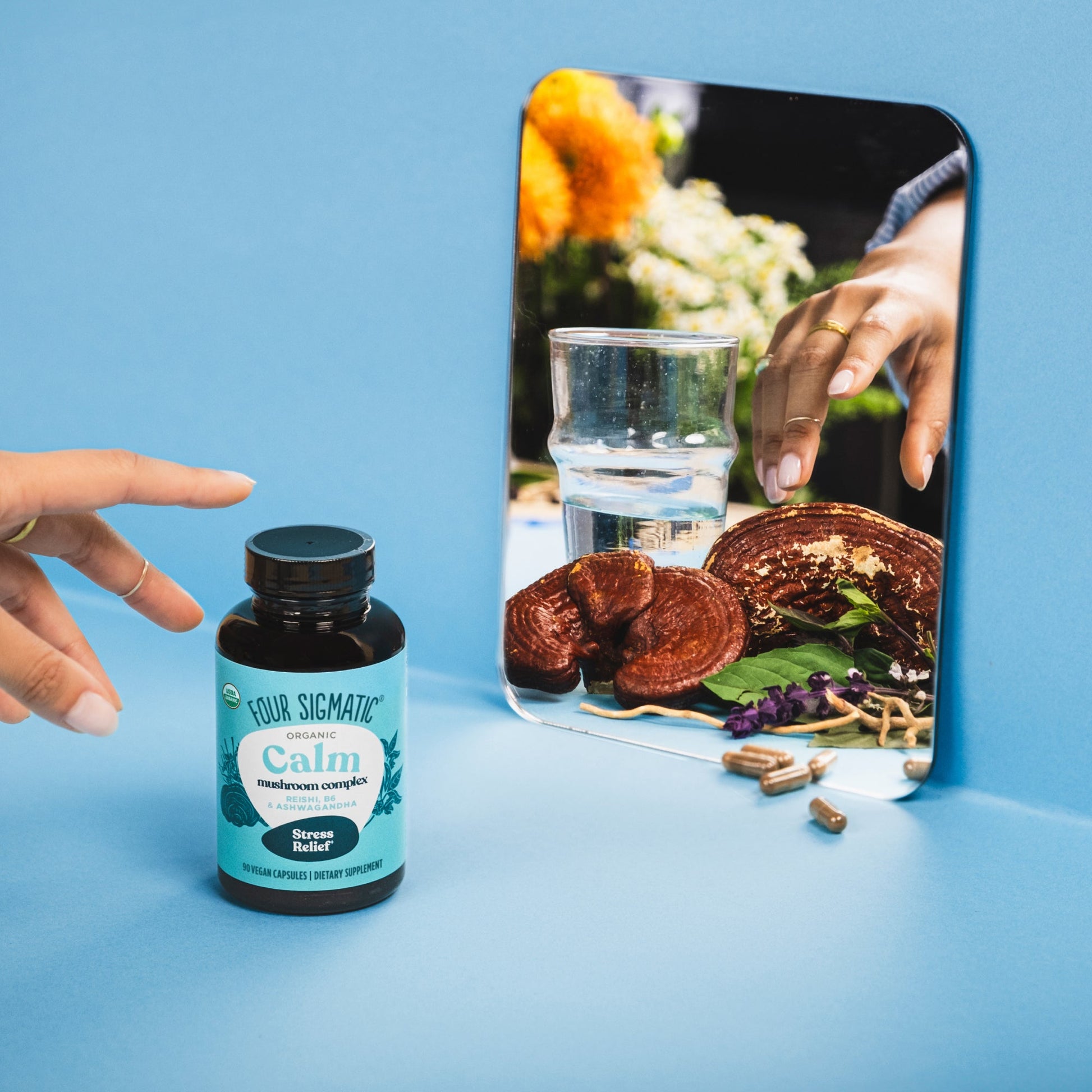 calm-capsules-x1 calm-capsule-1.jpg
